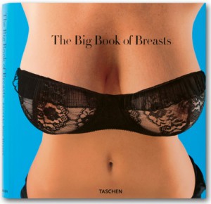 cover_fo_big_book_of_breasts_0705301723_id_11494